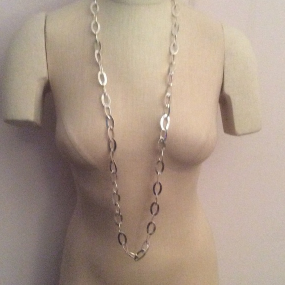 NWT Hammered Silvertone Long Chainlink Necklace
